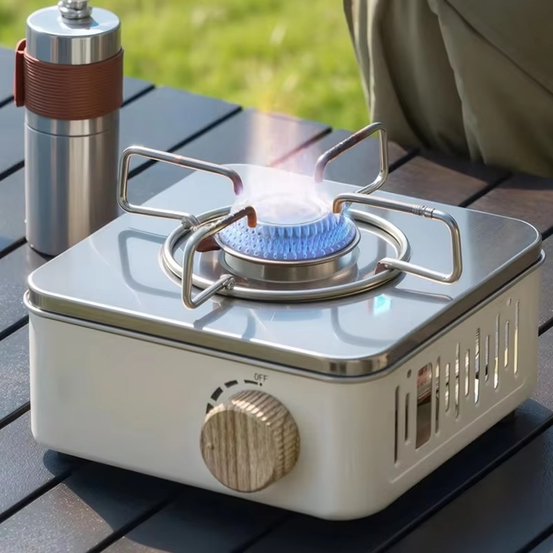 2800W campeggio Mini fornello  - Camping Cooking Plate recensione e prezzo