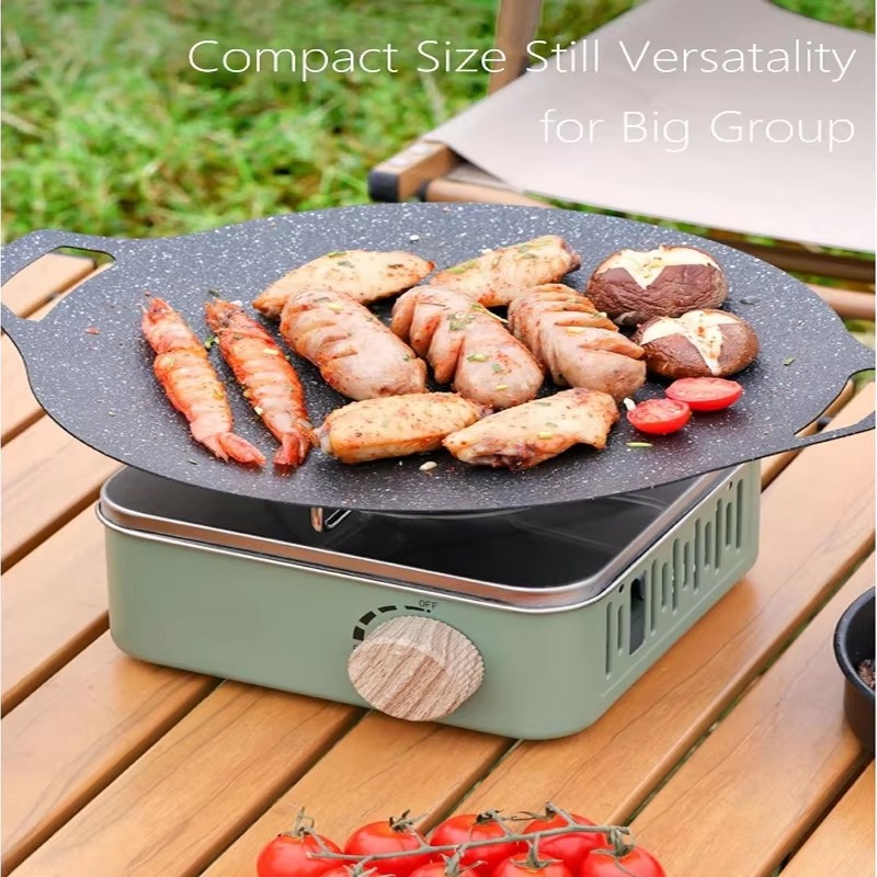 2800W campeggio Mini fornello  - Camping Cooking Plate recensione e prezzo